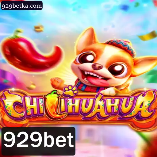 CHILIHUAHUA: Um Novo Jogo de Apostas Inovador